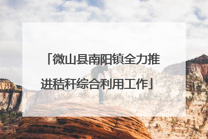 微山县南阳镇全力推进秸秆综合利用工作