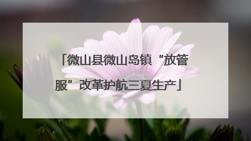 微山县微山岛镇“放管服”改革护航三夏生产