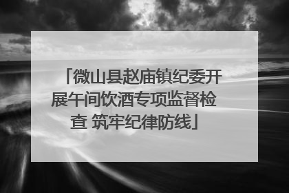 微山县赵庙镇纪委开展午间饮酒专项监督检查 筑牢纪律防线