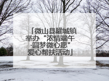 微山县驩城镇举办“浓情端午·圆梦微心愿”爱心帮扶活动