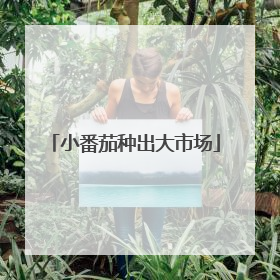 小番茄种出大市场