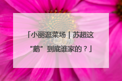 小丽逛菜场｜苏超这“鹅”到底谁家的？