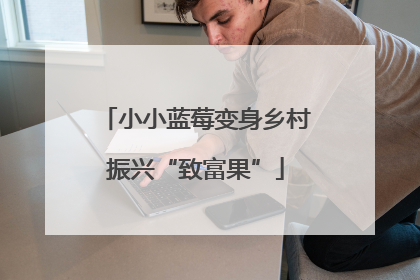 小小蓝莓变身乡村振兴“致富果”