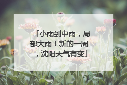 小雨到中雨，局部大雨！新的一周，沈阳天气有变