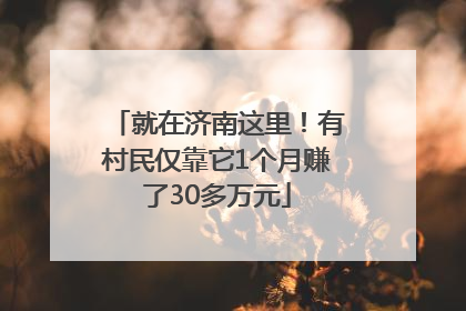 就在济南这里！有村民仅靠它1个月赚了30多万元