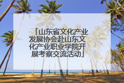 山东省文化产业发展协会赴山东文化产业职业学院开展考察交流活动