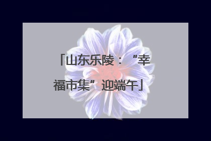 山东乐陵：“幸福市集”迎端午