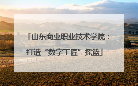 山东商业职业技术学院：打造“数字工匠”摇篮