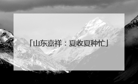 山东嘉祥：夏收夏种忙
