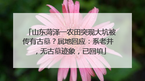 山东菏泽一农田突现大坑被传有古墓？属地回应：系老井，无古墓迹象，已回填