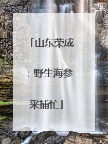 山东荣成：野生海参采捕忙