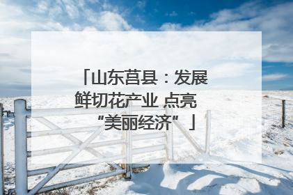 山东莒县：发展鲜切花产业 点亮“美丽经济”
