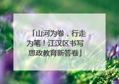 山河为卷，行走为笔！江汉区书写思政教育新答卷