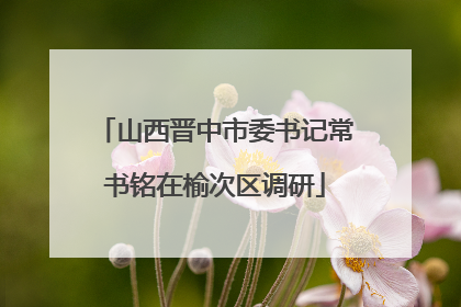 山西晋中市委书记常书铭在榆次区调研