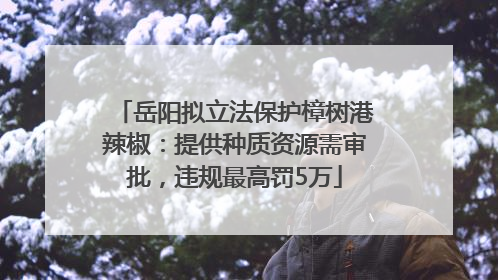 岳阳拟立法保护樟树港辣椒：提供种质资源需审批，违规最高罚5万