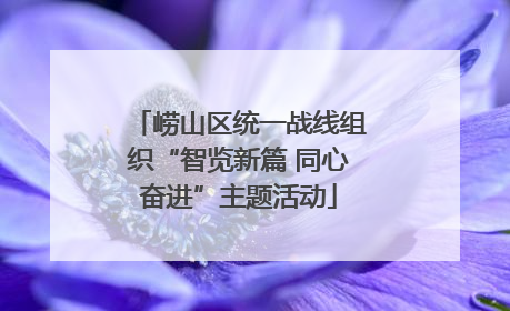 崂山区统一战线组织“智览新篇 同心奋进”主题活动