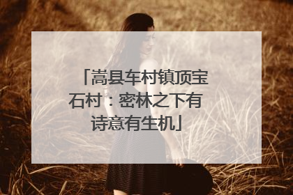 嵩县车村镇顶宝石村：密林之下有诗意有生机