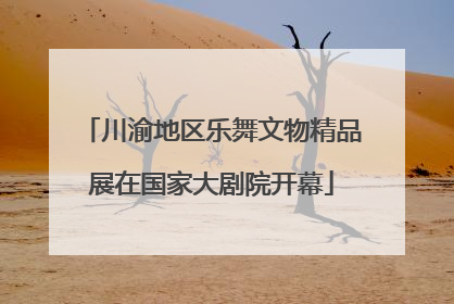 川渝地区乐舞文物精品展在国家大剧院开幕