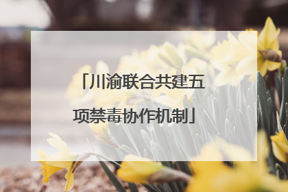 川渝联合共建五项禁毒协作机制