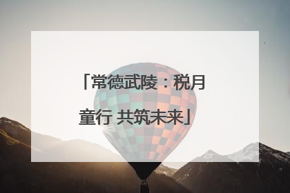 常德武陵：税月童行 共筑未来
