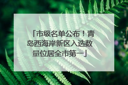 市级名单公布！青岛西海岸新区入选数量位居全市第一