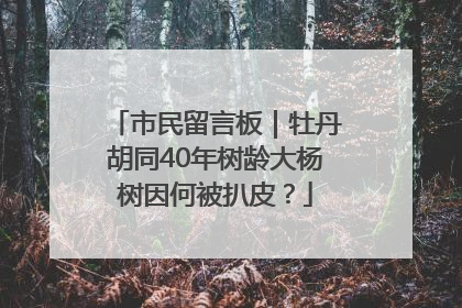 市民留言板｜牡丹胡同40年树龄大杨树因何被扒皮？