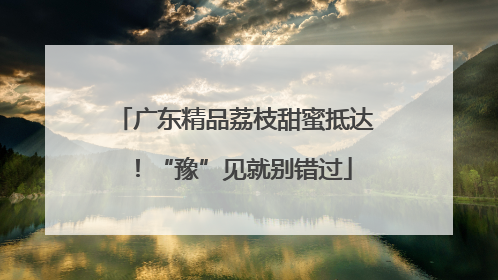 广东精品荔枝甜蜜抵达！“豫”见就别错过