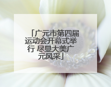 广元市第四届运动会开幕式举行 尽显大美广元风采