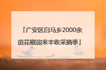 广安区白马乡2000余亩花椒迎来丰收采摘季