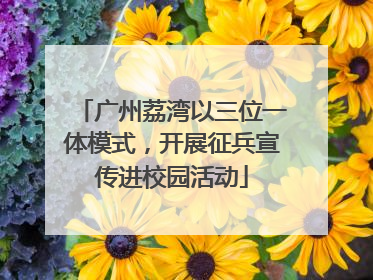 广州荔湾以三位一体模式，开展征兵宣传进校园活动