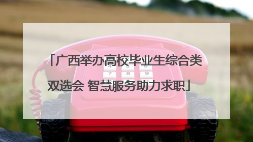广西举办高校毕业生综合类双选会 智慧服务助力求职