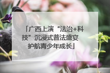 广西上演“法治+科技”沉浸式普法盛宴 护航青少年成长