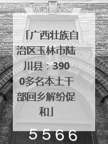 广西壮族自治区玉林市陆川县：3900多名本土干部回乡解纷促和