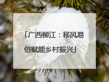 广西柳江：移风易俗赋能乡村振兴