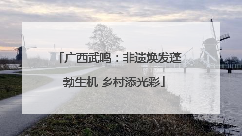 广西武鸣：非遗焕发蓬勃生机 乡村添光彩
