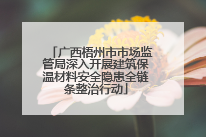 广西梧州市市场监管局深入开展建筑保温材料安全隐患全链条整治行动