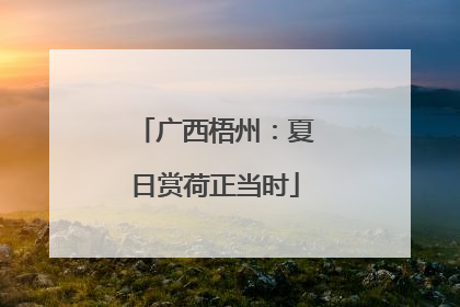 广西梧州：夏日赏荷正当时