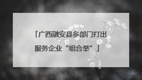 广西融安县多部门打出服务企业“组合拳”
