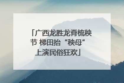 广西龙胜龙脊梳秧节 梯田抬“秧母”上演民俗狂欢