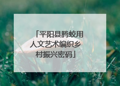平阳县腾蛟用人文艺术编织乡村振兴密码