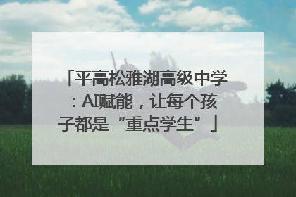 平高松雅湖高级中学：AI赋能，让每个孩子都是“重点学生”