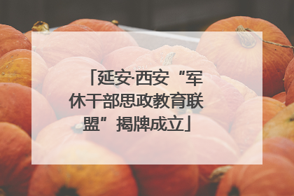 延安·西安“军休干部思政教育联盟”揭牌成立