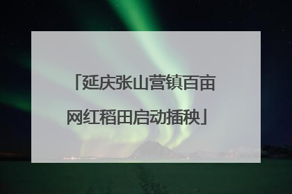延庆张山营镇百亩网红稻田启动插秧