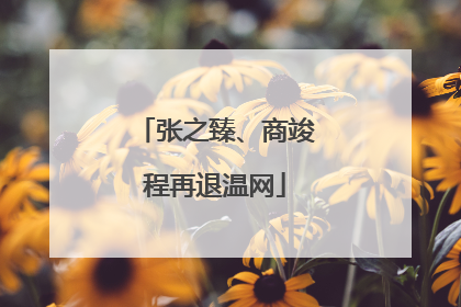 张之臻、商竣程再退温网
