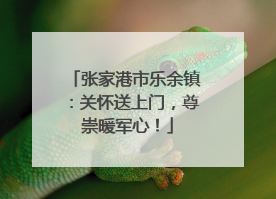 张家港市乐余镇：关怀送上门，尊崇暖军心！