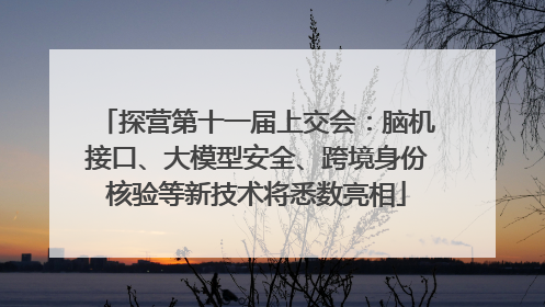探营第十一届上交会：脑机接口、大模型安全、跨境身份核验等新技术将悉数亮相