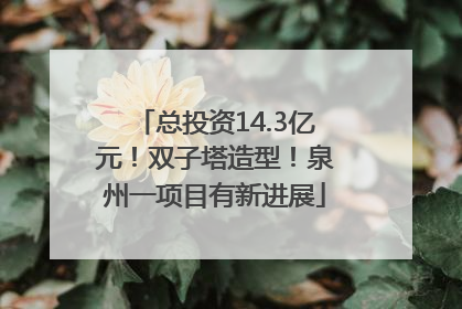总投资14.3亿元！双子塔造型！泉州一项目有新进展