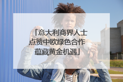 意大利商界人士点赞中欧绿色合作蕴藏黄金机遇