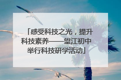 感受科技之光，提升科技素养——望江初中举行科技研学活动