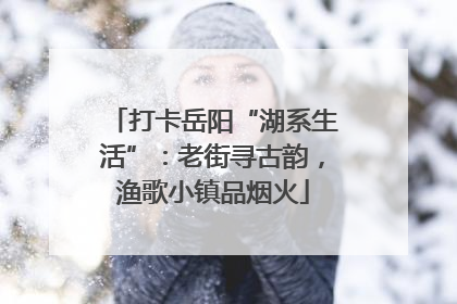 打卡岳阳“湖系生活”：老街寻古韵，渔歌小镇品烟火